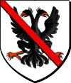 Blason de Chef de nom et d'armes