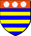 Blason de Seigneur de Bellaffaire