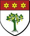 Blason de Noble homme