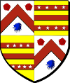 Blason de Noble homme