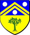 Blason de Sieur de Sigoyer