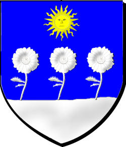 MARGARIDA