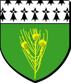 BANALEG