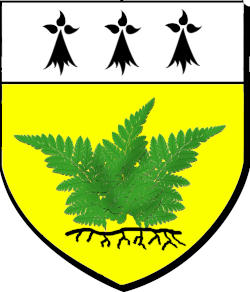 FELGER