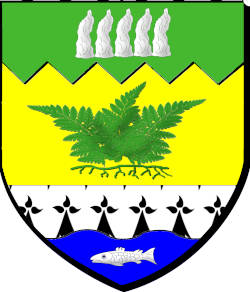 FLEGERIEG