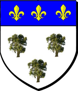 BAZELEG-AR-VEINEG