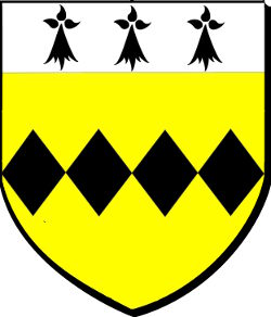 KELVINIEG