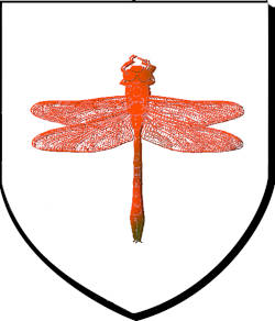 libellules