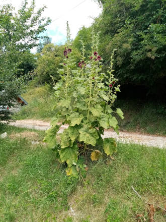 batie-des-fonds-4