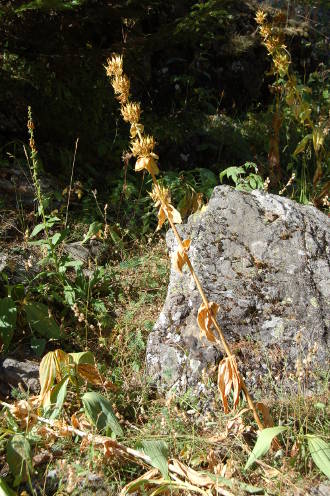 chateauroux-les-alpes-1