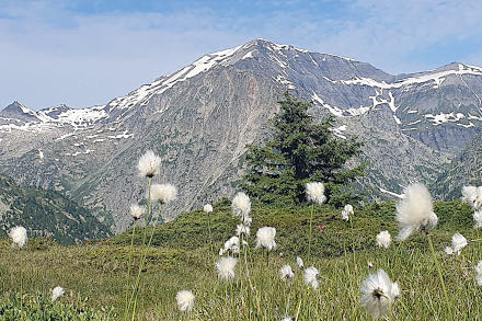 Balade alpine