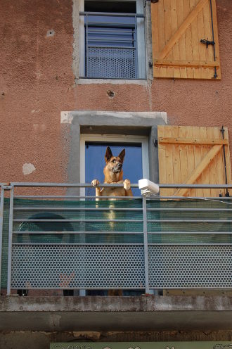 Tiens ? Encore des touristes !