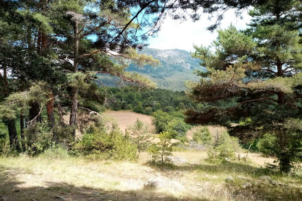 montclar-04-14