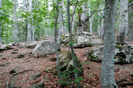 montclar-04-18