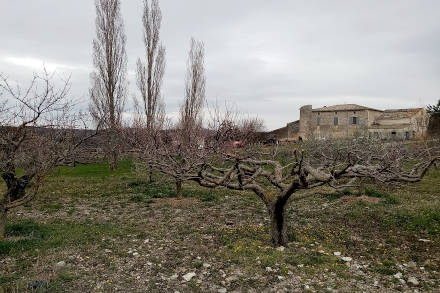 montsalier-7