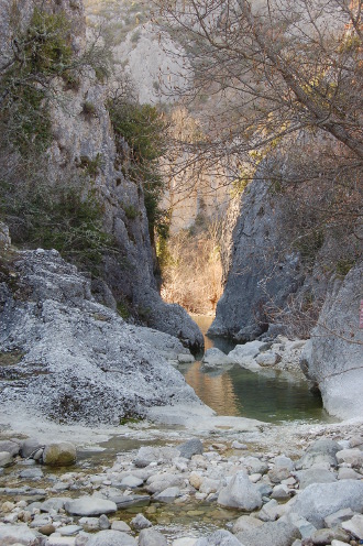 oppedette-14