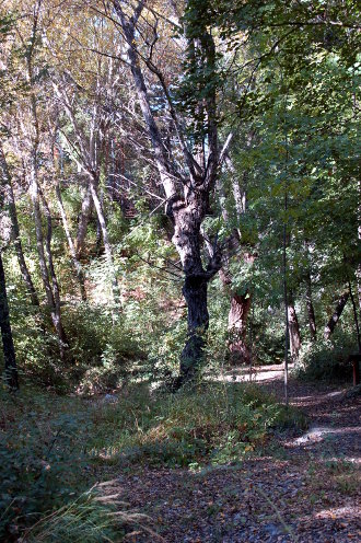 savines-lac-8