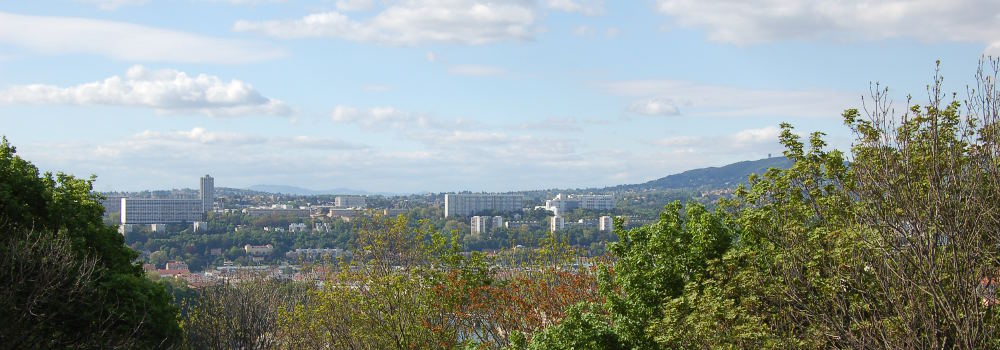lyon-8