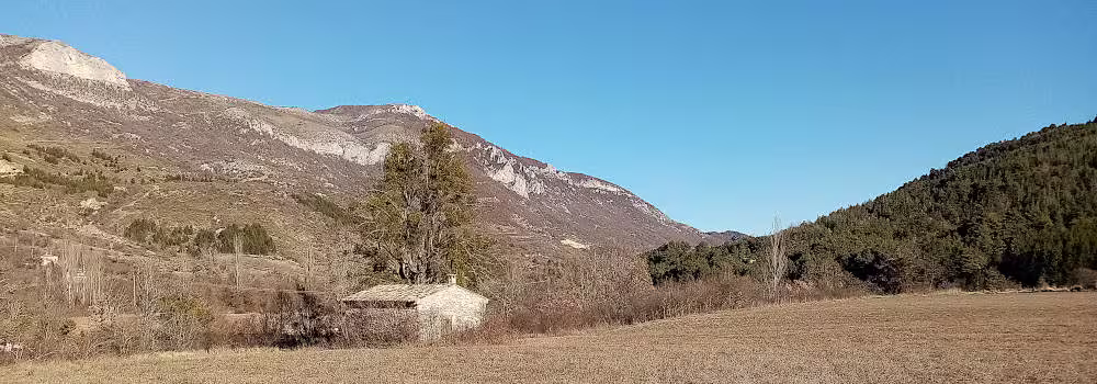 montfroc-5