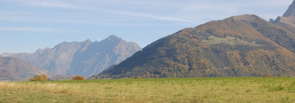 pellafol-3